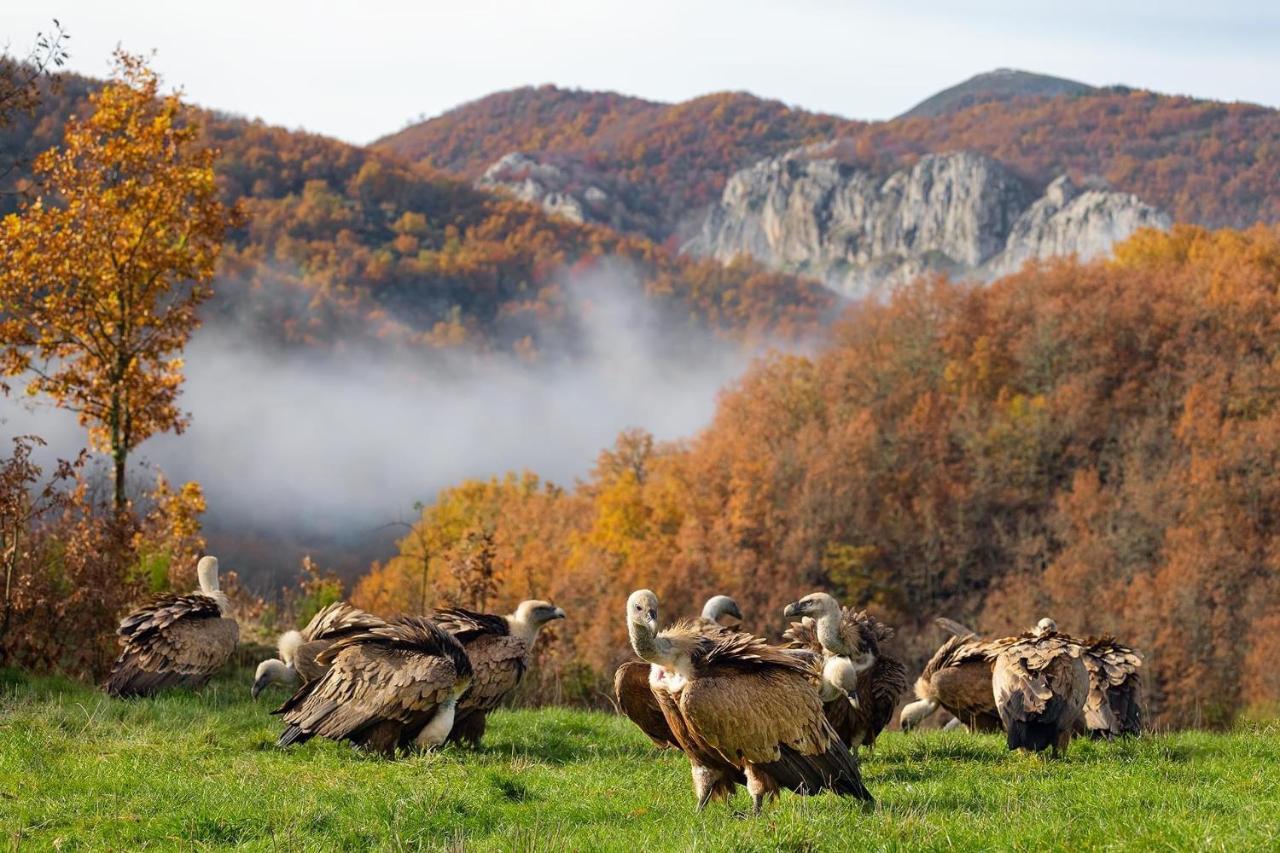 Hotel Rural El Sabinar Cremenes Bagian luar foto
