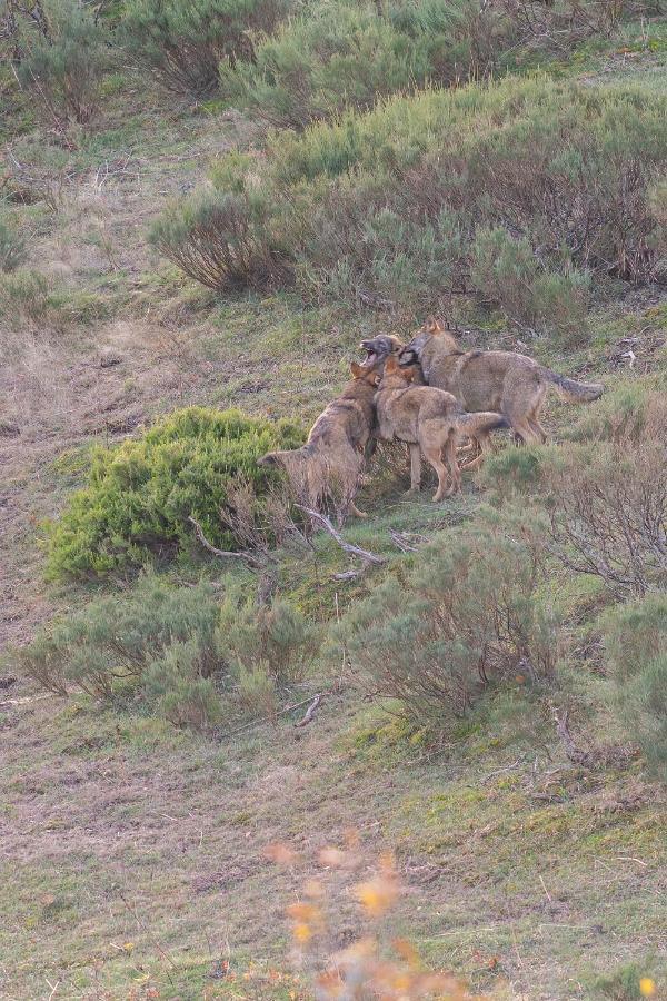 Hotel Rural El Sabinar Cremenes Bagian luar foto